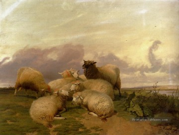  Animaux Tableaux - Moutons dans les Prairies de Canterbury Animaux de ferme Thomas Sidney Cooper